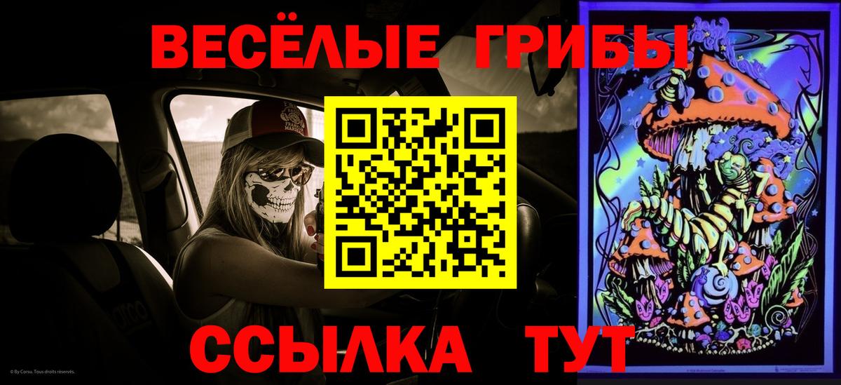 Псилоцибиновые грибы Psilocybine cubensis Тула