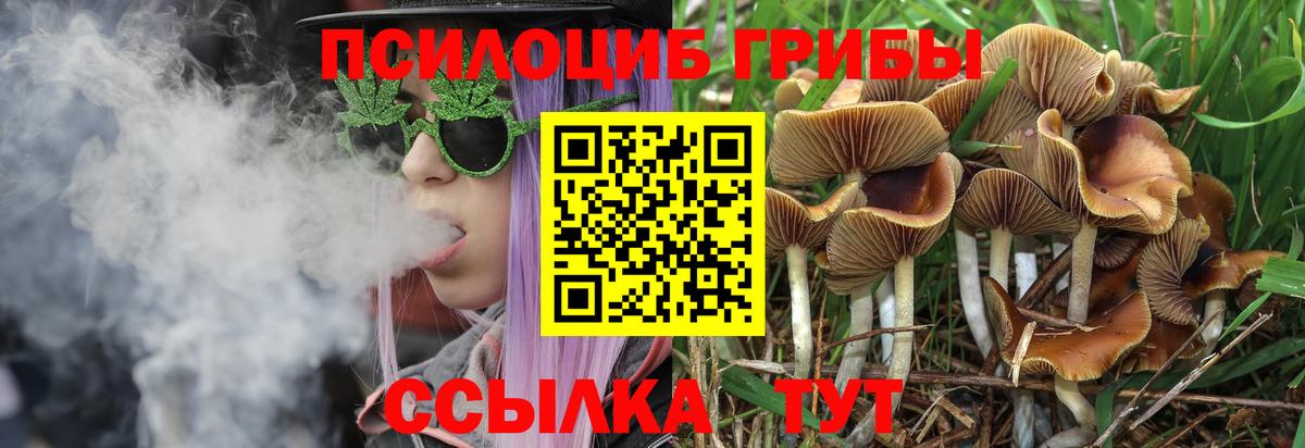 хочу   Вход с VPN  Псилоцибиновые грибы мухоморы  Тула  Галлюциногенные грибы мухоморы 